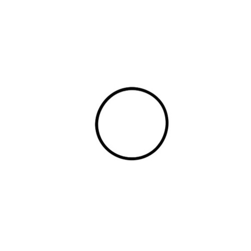 PCM R047241 O-Ring