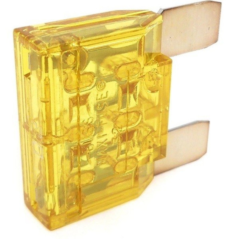 PCM R153019C 20 Amp Starter Fuse