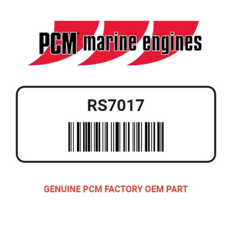 PCM RS7017 SS W/NYLOC M10 X 1.0 HEX NUT