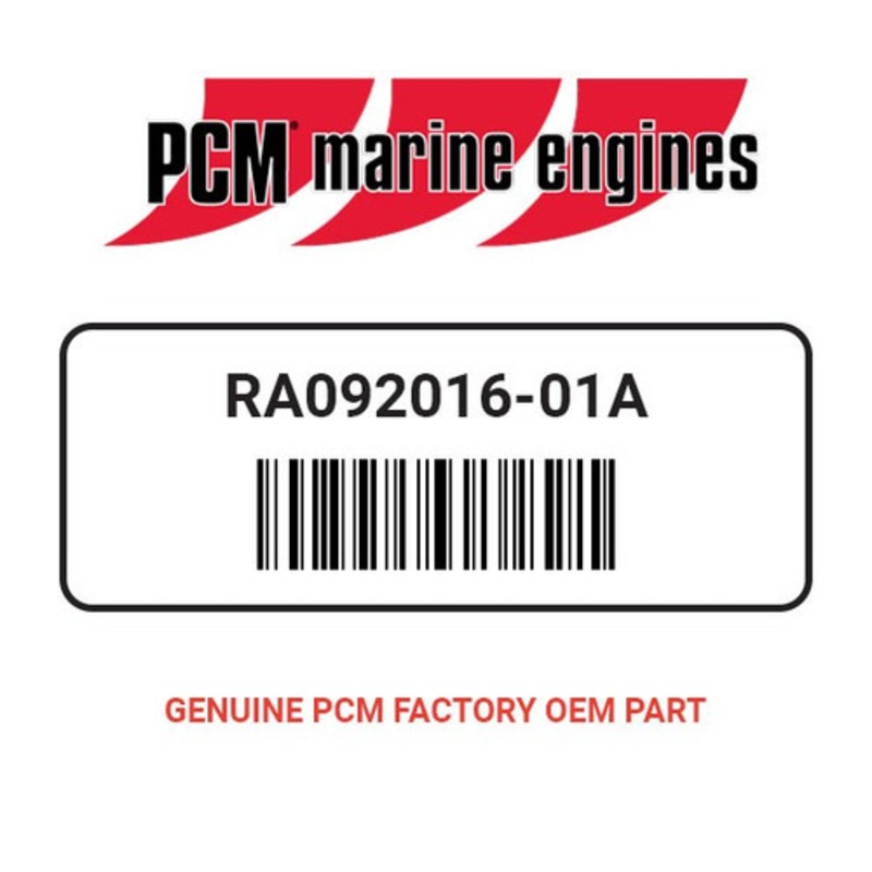 PCM RA092016-01A W.S.S. MOUNT ASSEMBLY