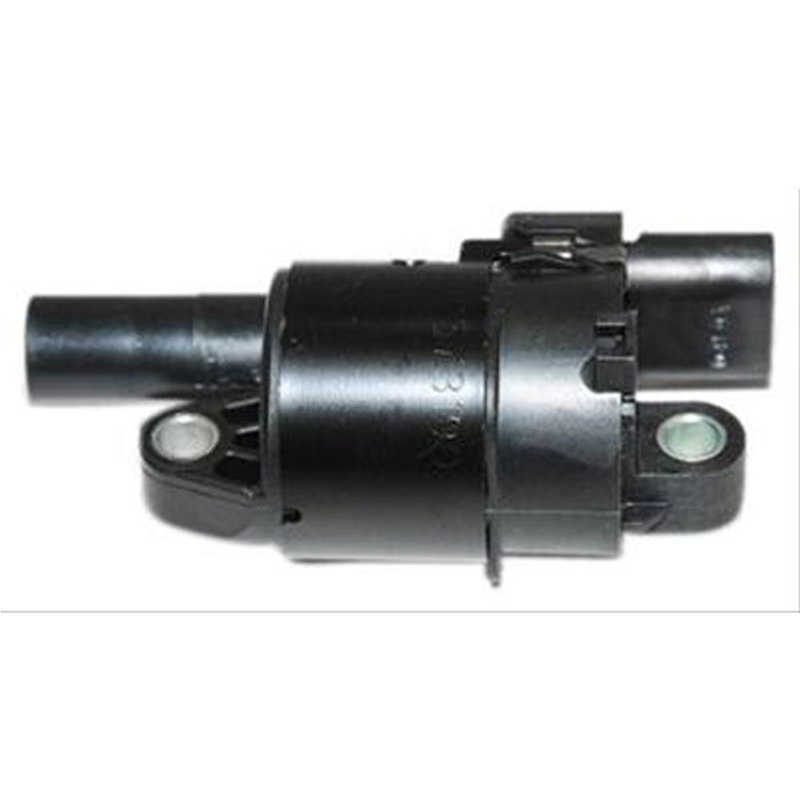 Ignition Coil 6.0L – LY6 OEM R117014