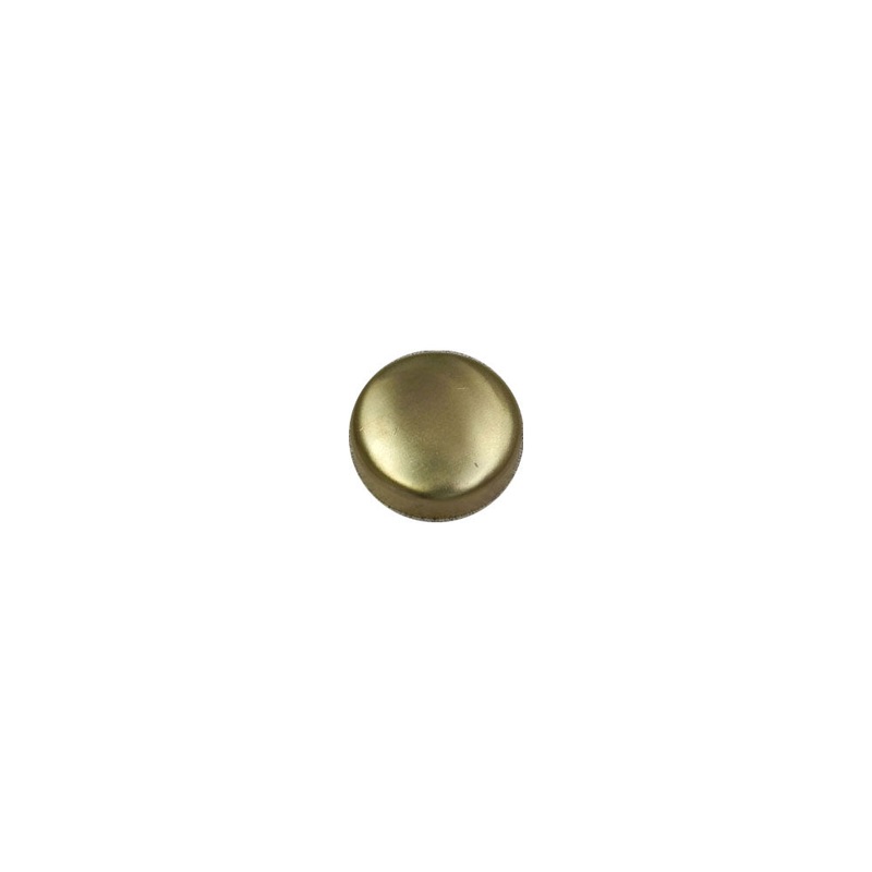 Freeze Plug Brass 1-5/8 GM All OEM R069066