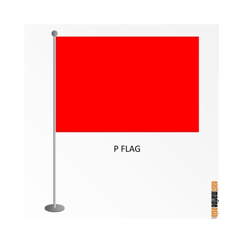 EMA International Flag – Protest Flag (P Flag)